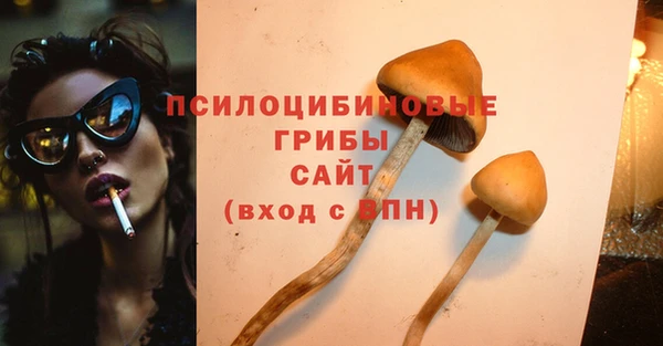гидра Волоколамск