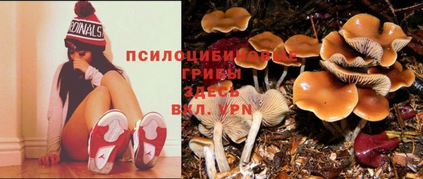 МДМА Волосово