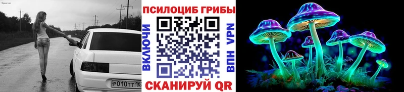 хочу   Муром  Псилоцибиновые грибы прущие грибы 
